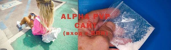 гашик Аркадак