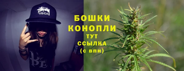 гашик Аркадак