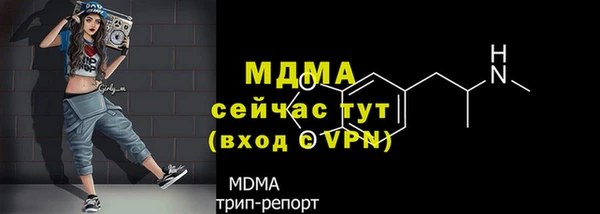 гашик Аркадак