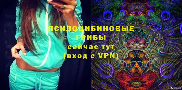 PSILOCYBIN Армянск
