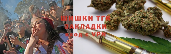 PSILOCYBIN Армянск