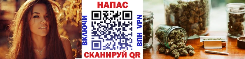 Шишки марихуана планчик Злынка